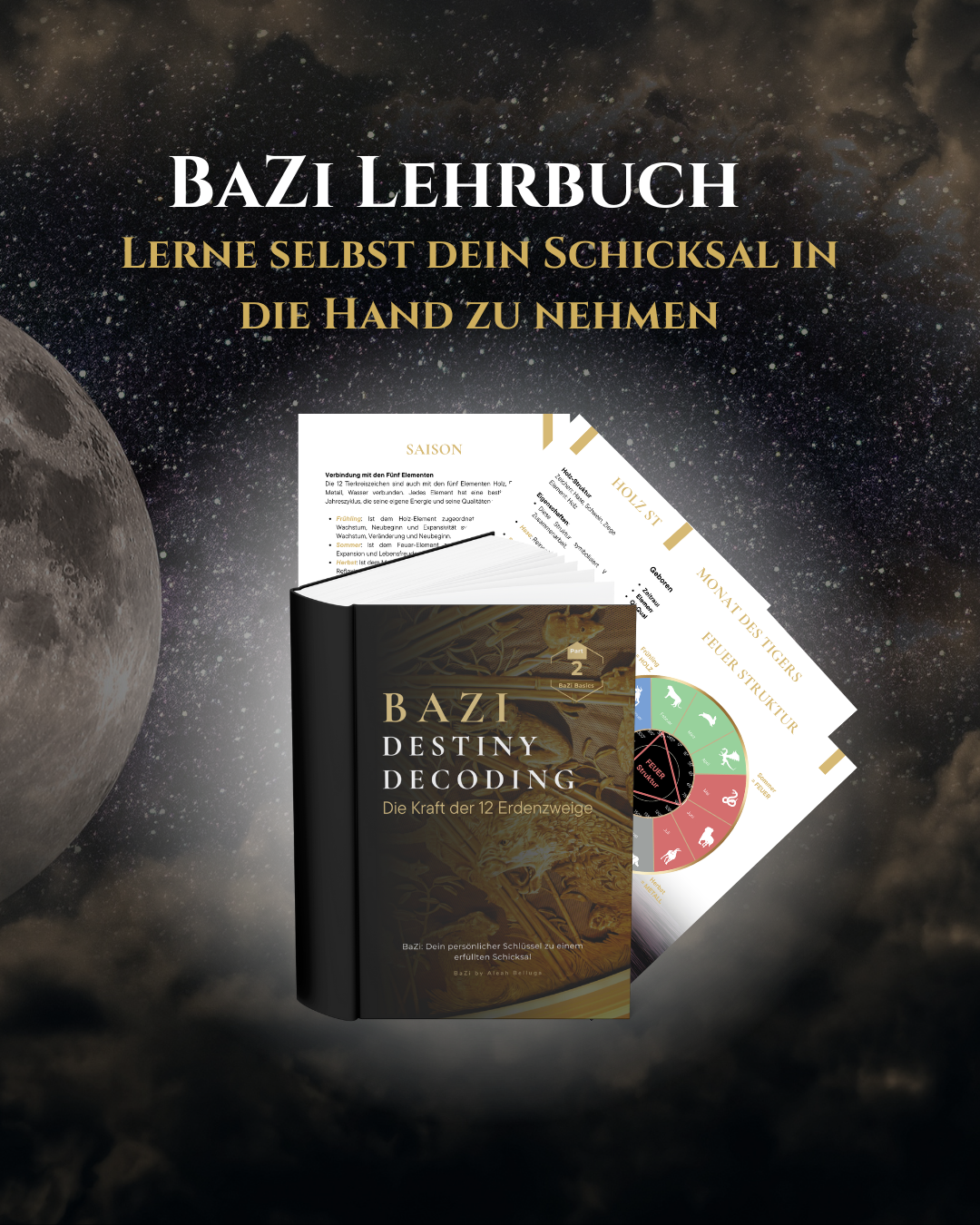 Die Kraft der 12 Tierkreiszeichen