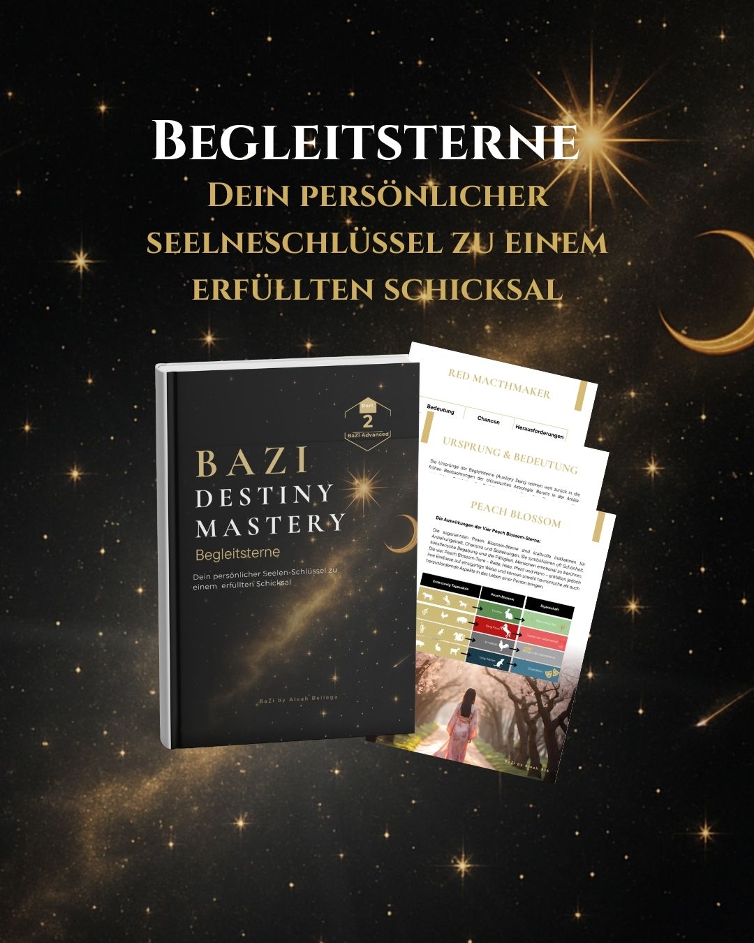 Begleitsterne