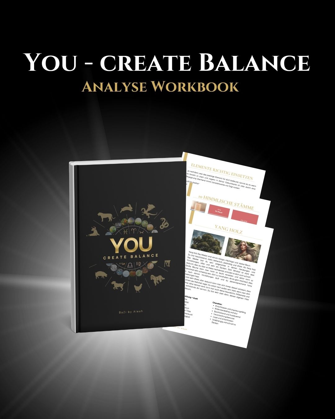 BaZi Analyse Workbook