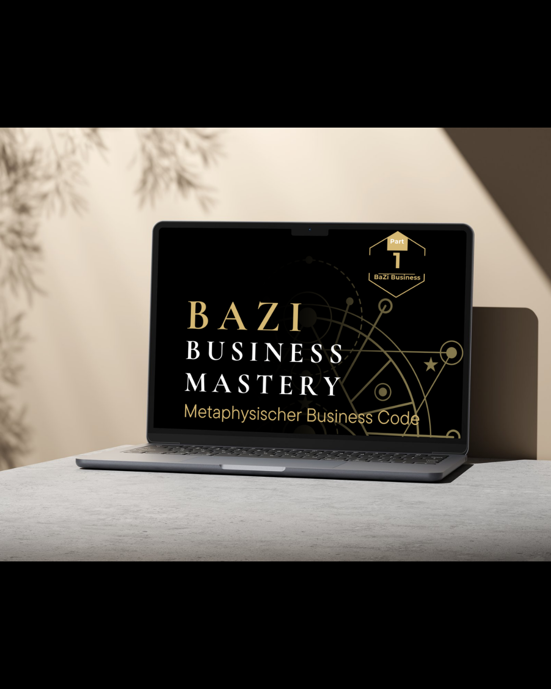 E Book - BaZi Business Mastery